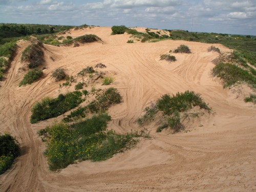 A sandy landscape with gentle dunes, scattered vegetation, and a cloudy sky in the background.