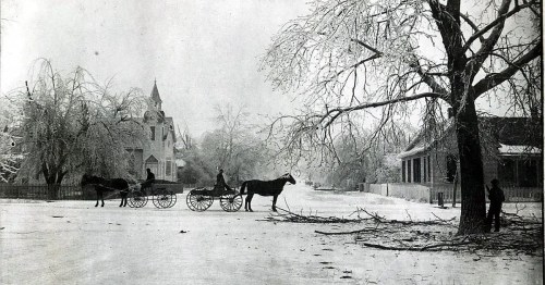Black and white photo of a snowy street with horse-drawn carriages and bare trees, showcasing a quiet winter scene.