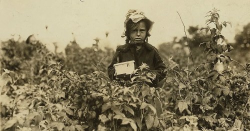A young child stands in a field, holding a container, surrounded by plants and foliage. The image has a vintage feel.