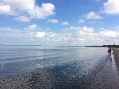 A serene beach scene with calm water, a cloudy sky, and a person walking along the shore.