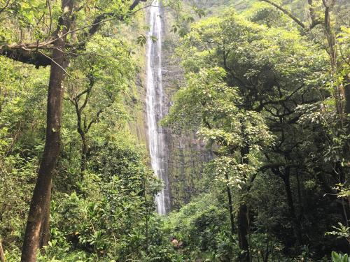 A tall waterfall cascades down a rocky cliff, surrounded by lush green trees and dense foliage.