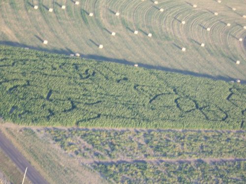 Aerial view of a green field with circular hay bales and distinct patterns in the crops.