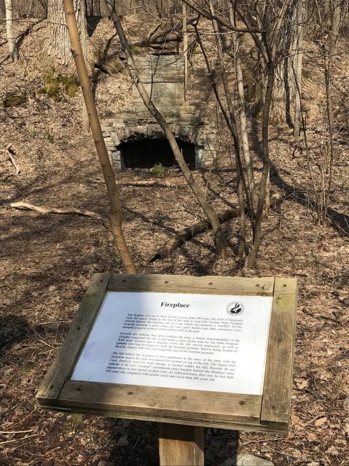 A stone fireplace ruins in a wooded area, with an informational sign in the foreground.