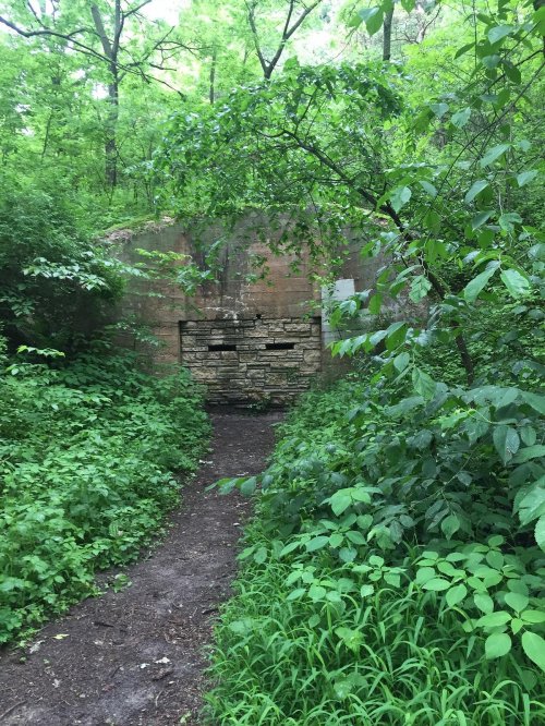 Overgrown path leading to a stone structure, surrounded by lush green foliage and trees.