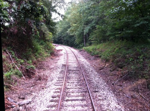 A winding railway track surrounded by lush green trees and underbrush, leading into the distance.