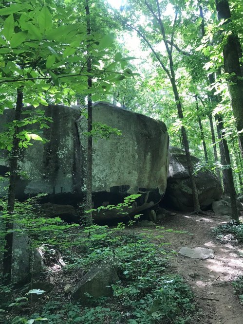A large boulder surrounded by lush green trees in a forested area, with a dirt path leading through the scene.