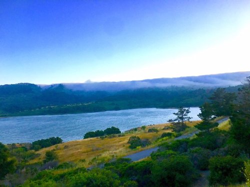 A serene landscape featuring a river surrounded by hills and trees, with a clear blue sky and soft fog in the distance.