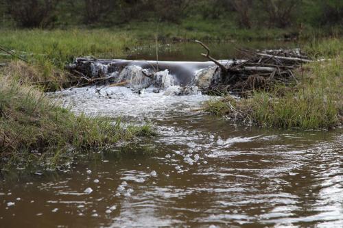 A small waterfall cascades over a natural dam, surrounded by lush green grass and calm water.