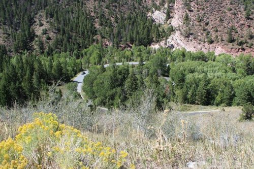 Winding road through lush green trees and hills, with rocky terrain in the background. Bright yellow flowers in the foreground.