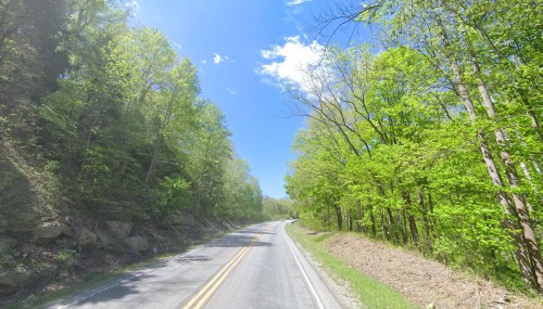 A winding road surrounded by lush green trees under a bright blue sky with scattered clouds.