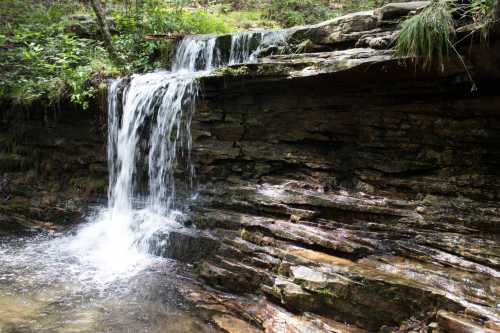 A serene waterfall cascading over rocky terrain, surrounded by lush greenery in a tranquil forest setting.