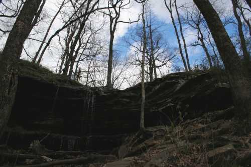 A rocky cliff with a small waterfall, surrounded by bare trees and a cloudy sky.