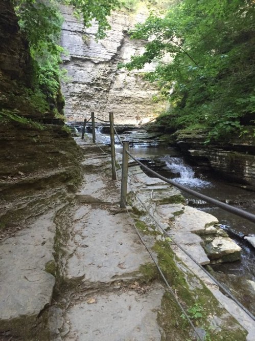A narrow stone path alongside a flowing stream, surrounded by lush greenery and steep rock walls.