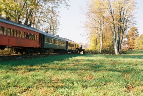 A colorful train travels along a scenic route, surrounded by trees and lush green grass in autumn.