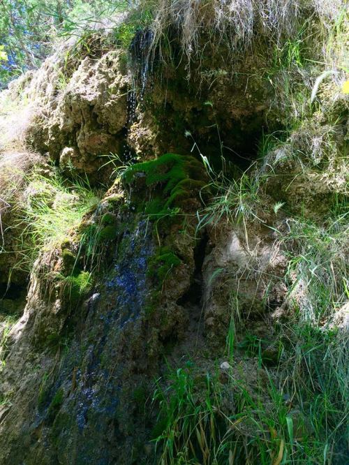 A rocky hillside covered in green moss and grass, with small water drips and natural textures visible.