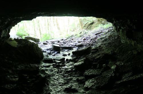 View from inside a dark cave, looking out towards a bright, tree-filled landscape. Wet rocks are visible on the ground.