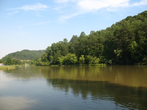 A serene lake surrounded by lush green trees under a clear blue sky, reflecting the landscape in calm waters.