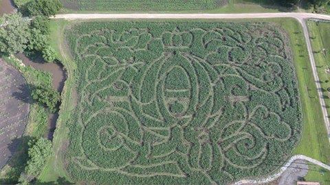 Aerial view of a large corn maze featuring intricate designs, including a crown and swirling patterns.