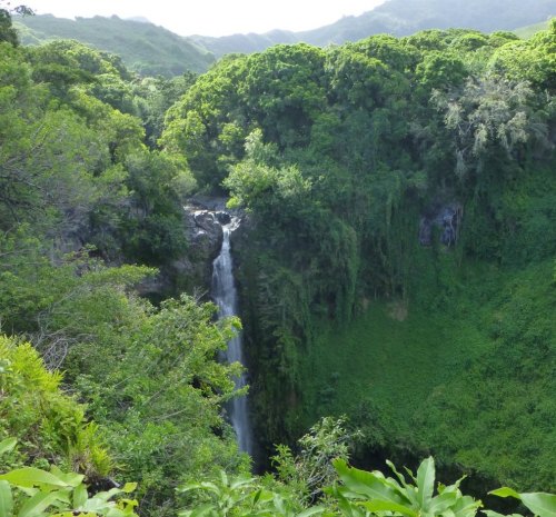 A lush green landscape featuring a waterfall cascading down a rocky cliff, surrounded by dense foliage and mountains.