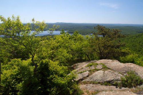 A scenic view from a rocky overlook, featuring lush green trees and a distant lake under a clear blue sky.