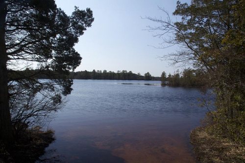 A serene lake surrounded by trees under a clear blue sky, reflecting the calm water.