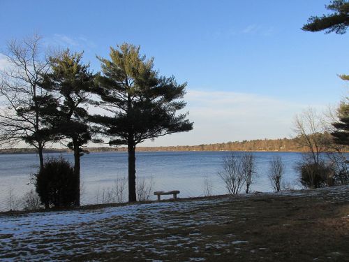A serene lakeside view with trees, a bench, and a clear blue sky, reflecting a peaceful natural setting.