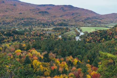 A scenic view of colorful autumn foliage, rolling hills, and a winding river in a tranquil landscape.