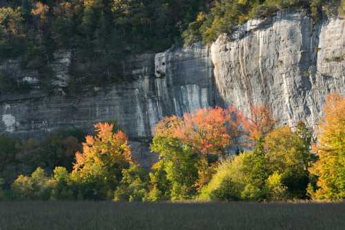 A rocky cliff with vibrant autumn trees in the foreground, showcasing orange and yellow foliage against a gray backdrop.