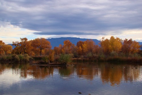 A serene landscape featuring autumn trees reflecting in calm water, with mountains and cloudy skies in the background.