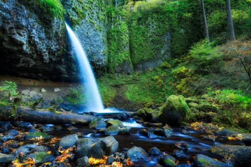 A serene waterfall cascades over moss-covered rocks, surrounded by lush greenery and autumn leaves.