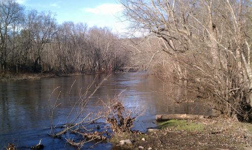 A calm river flows through a wooded area, with bare trees lining the banks under a clear blue sky.