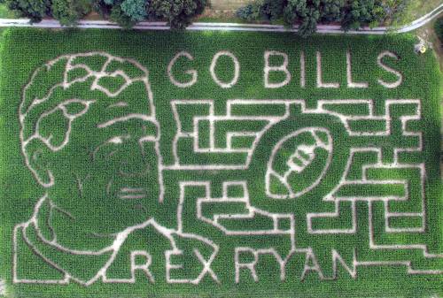 Aerial view of a corn maze featuring a football and the words "Go Bills" alongside a face design of Rex Ryan.
