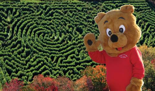 A bear mascot waves in front of a green maze pattern and colorful autumn foliage.