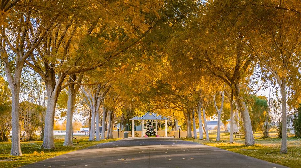 The Nevada Park That Will Make You Feel Like You Walked Into A Fairy Tale