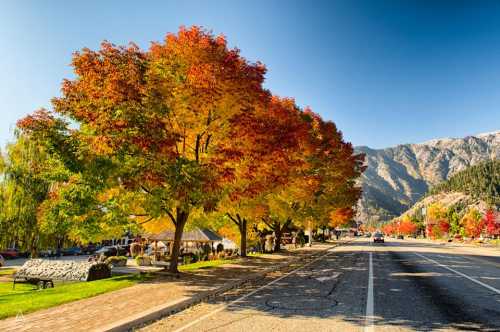 A scenic road lined with vibrant autumn trees, showcasing red and orange leaves against a clear blue sky and mountains.