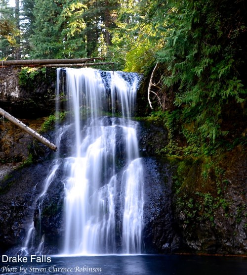 A serene waterfall cascades over rocks, surrounded by lush green trees in a tranquil forest setting.