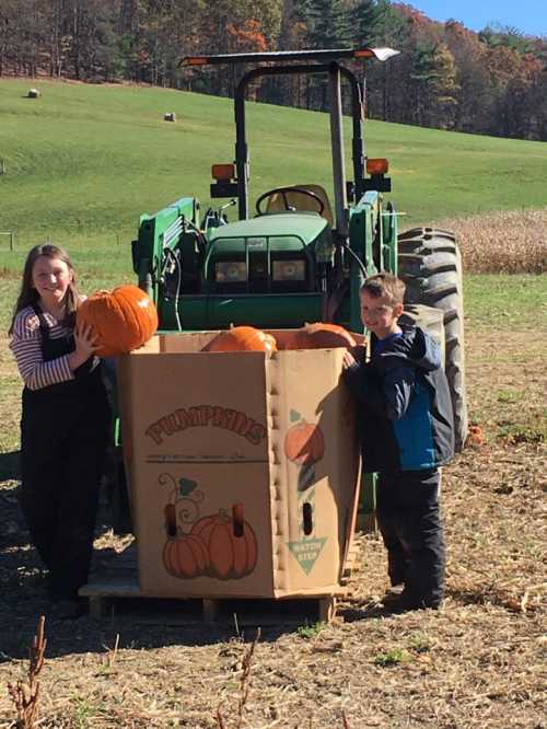 Two children lift pumpkins from a large box next to a green tractor in a sunny pumpkin patch.