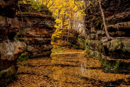 A serene canyon with autumn foliage reflecting in calm water, surrounded by rocky cliffs and fallen leaves.