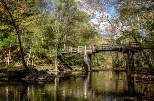 A wooden bridge spans a calm stream, surrounded by lush trees and a bright blue sky with scattered clouds.