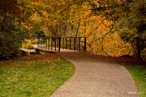 A winding path leads to a small bridge surrounded by vibrant autumn foliage.