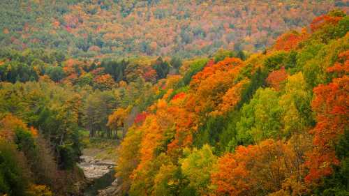 A vibrant autumn landscape with trees in shades of orange, red, and green, overlooking a winding river.