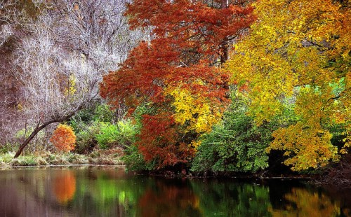 A serene river scene with vibrant autumn trees reflecting in the water, showcasing shades of red, orange, and green.