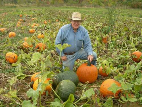 A man in a straw hat kneels among orange and green pumpkins in a field.