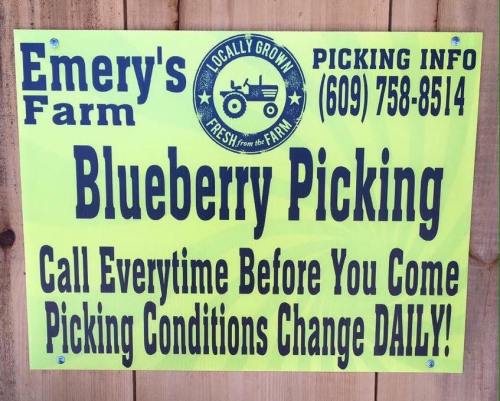 Bright yellow sign for Emery's Farm advertising blueberry picking, with contact info and a note to call before visiting.
