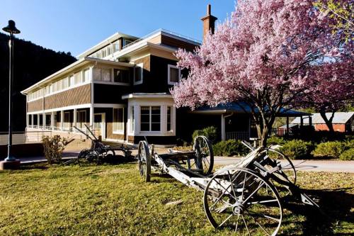 A historic building with a modern design, surrounded by blooming cherry trees and vintage carts on a sunny day.