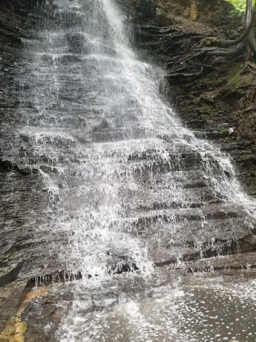 A cascading waterfall flows over rocky steps, surrounded by lush greenery.
