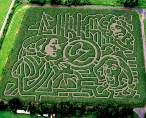 Aerial view of a corn maze featuring intricate designs of faces and figures carved into the greenery.