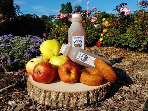 A wooden slice displays apples, a bottle of apple cider, and donuts, surrounded by colorful flowers in the background.
