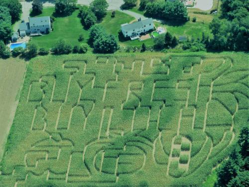 Aerial view of a corn maze with intricate patterns and designs, surrounded by green fields and houses.