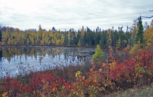 A serene lake surrounded by autumn foliage, featuring vibrant red and yellow leaves against a cloudy sky.